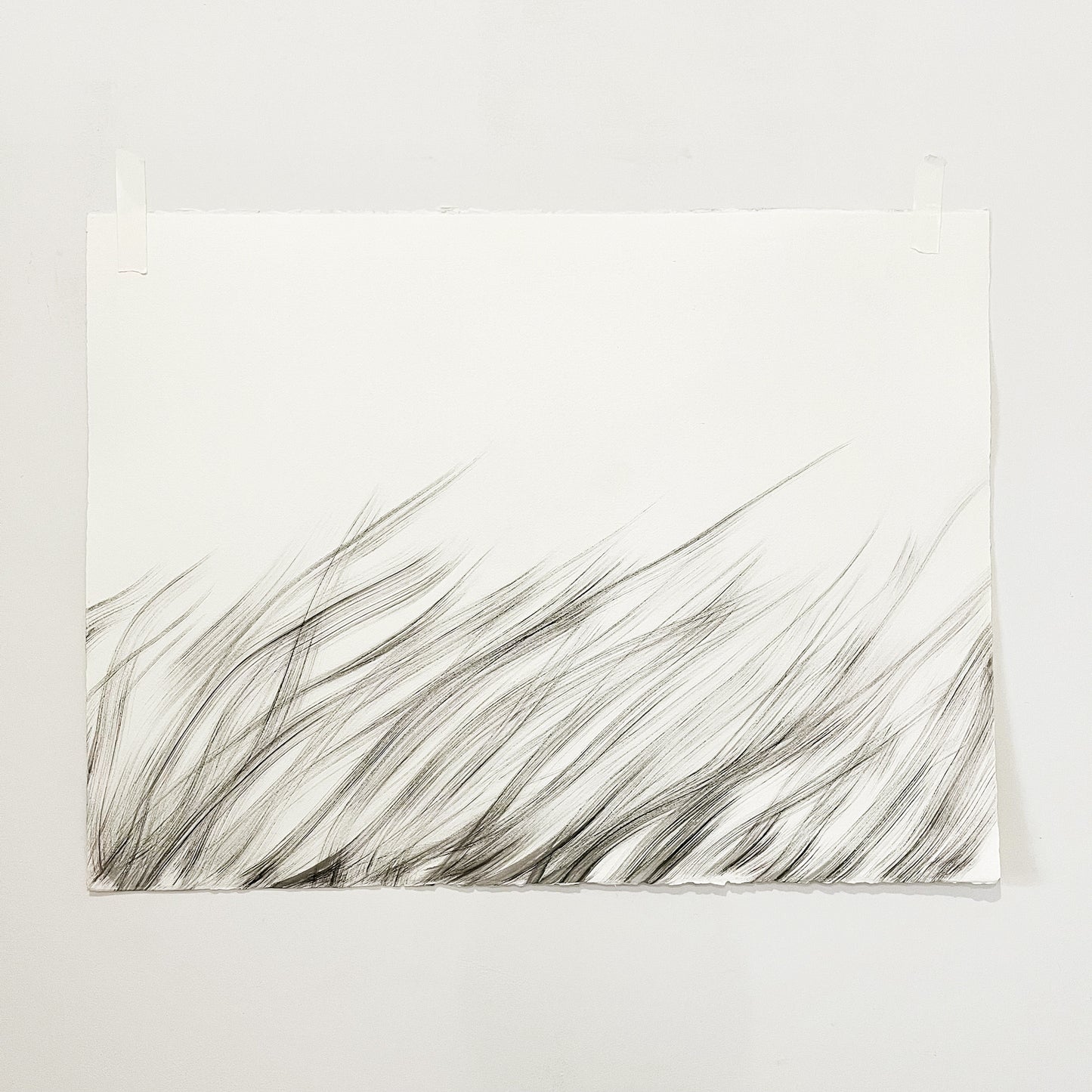 The grass sways without vanity.