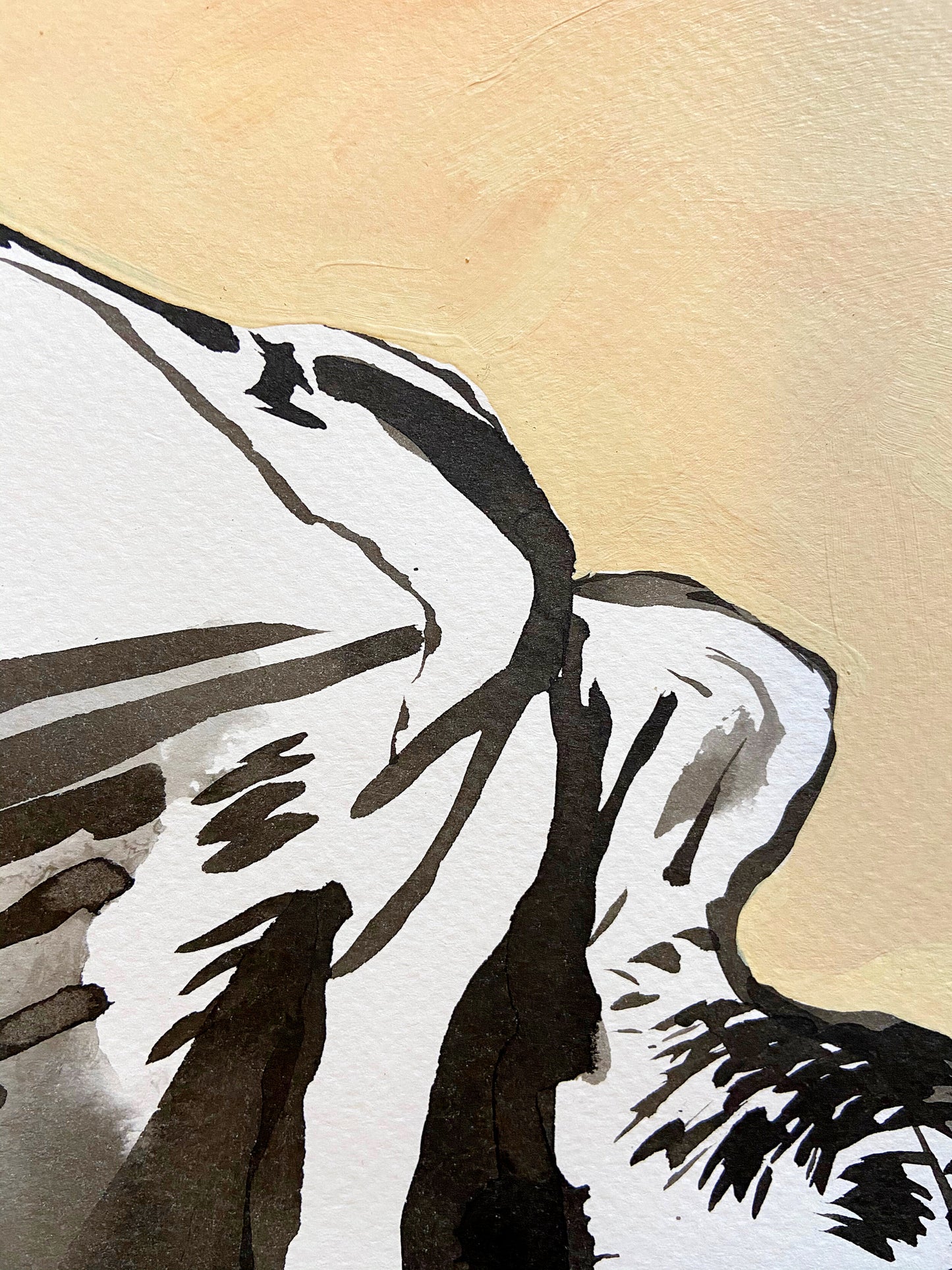 The Birds