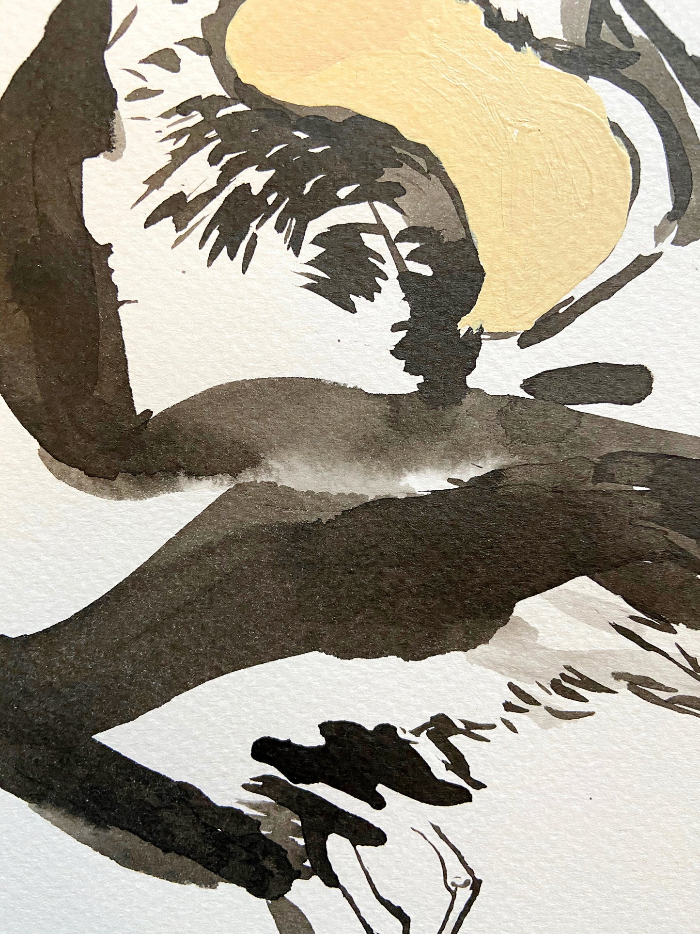 The Birds