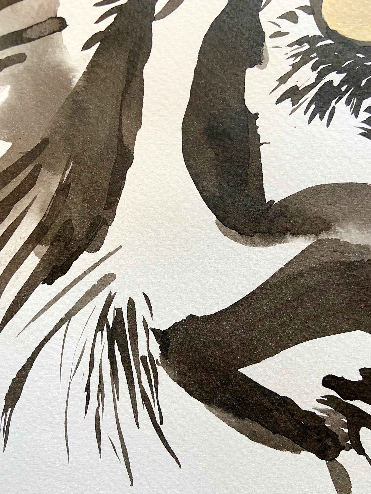 The Birds