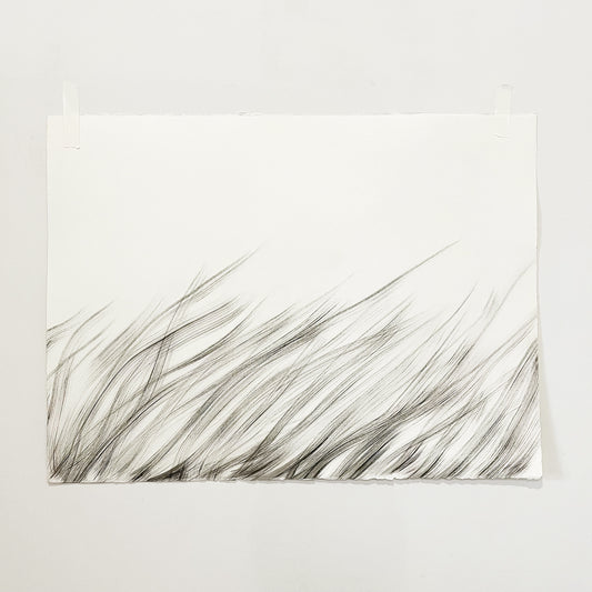 The grass sways without vanity.