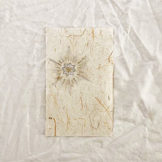 The Language of Stars and Motion Pictures of Light Part 1