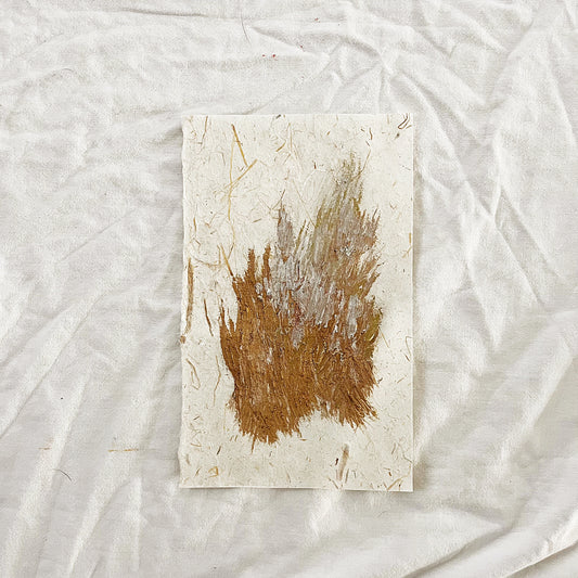 The Language of Stars and Motion Pictures of Light Part 2