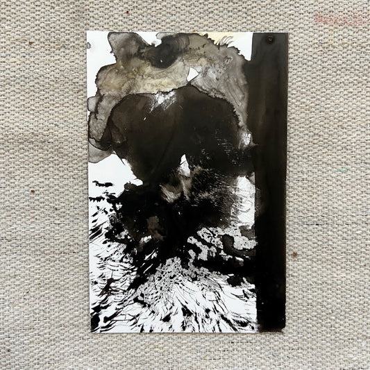 Dogs Prefer Reggae 1